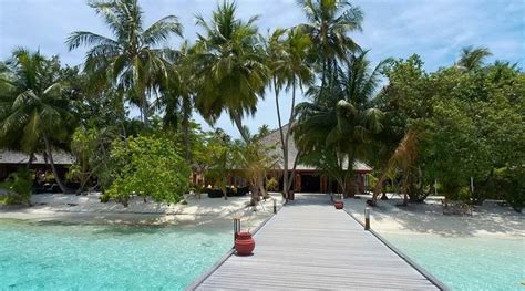 Vilamendhoo Island Resort And Spa Maldives Halal Holidays