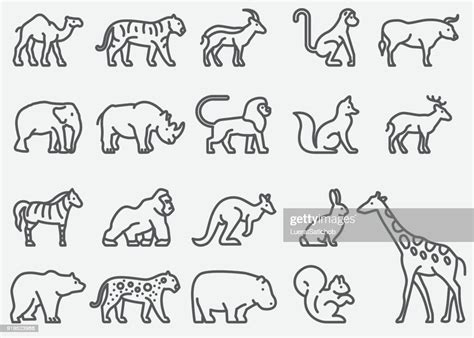 Wild Animals Line Icons High-Res Vector Graphic - Getty Images