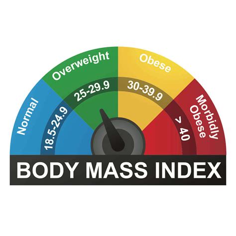 Panduan Lengkap Cara Menghitung Bmi Body Mass Index Borobudur Training Consulting