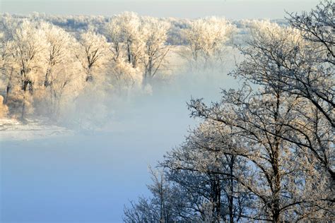 Hintergrundbilder Morgen Bäume Winter Kalt Eis Nebel