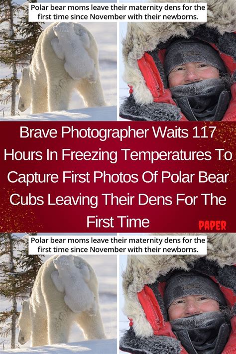 Brave Photographer Waits 117 Hours In Freezing Temperatures To Capture
