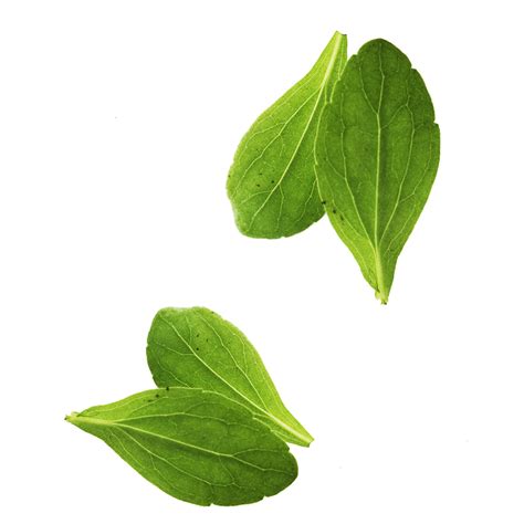 Leaf vegetable Basil Leaf vegetable - Leaves png download - 1181*1181 - Free Transparent Leaf ...