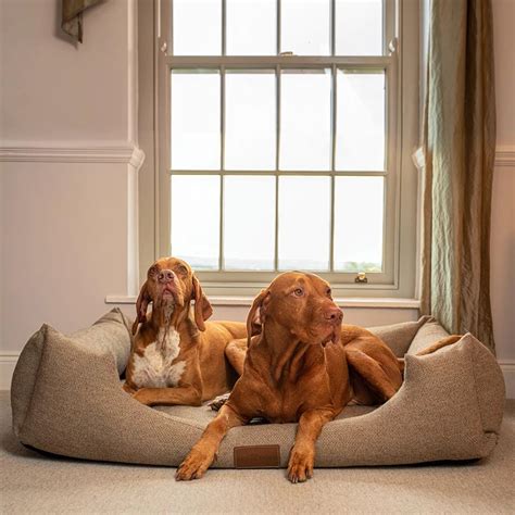 Contact Us Ivy And Duke Luxury Dog Beds And Accessories