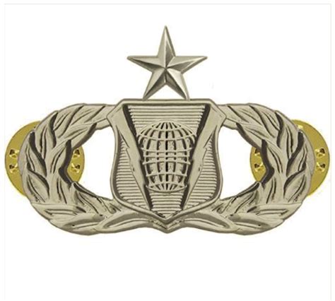 Vanguard Air Force Badge Command And Control Senior Regulation Size