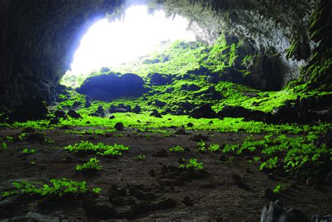 Yangzi Cave Guangxi China The Cave Entrance Is Approximately 70 M