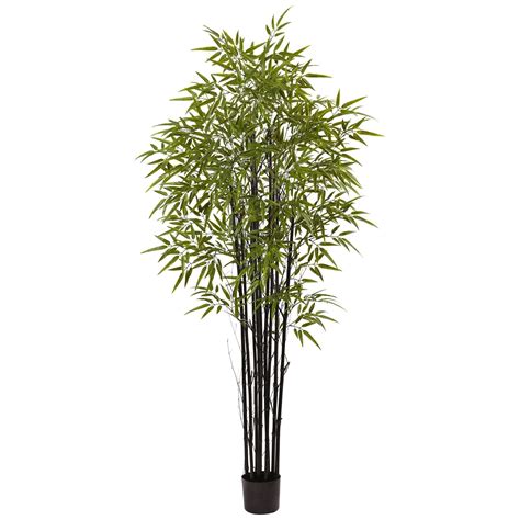 6 Black Bamboo Tree Uv Resistant Indooroutdoor Nearly Natural