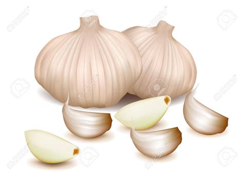 Every clove is covered up in delicate papery skin, which is supposed to be peeled before cooking cloves; garlic clove clipart 10 free Cliparts | Download images on ...