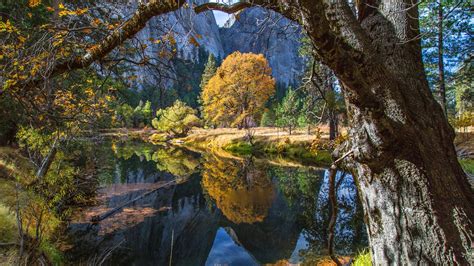 Yosemite Forest Autumn Lake Imac Retina 4k Ultra Hd Preview