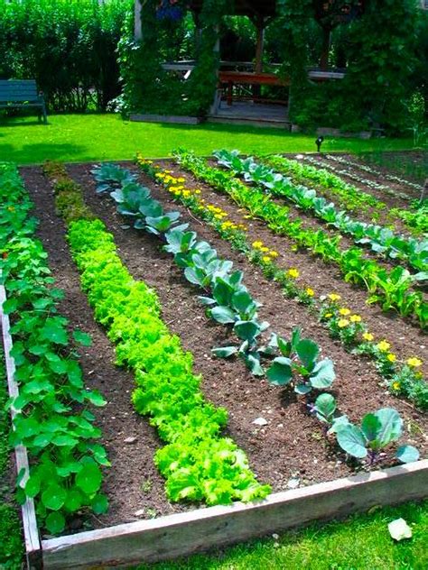Small Vegetable Garden Design Ideas ~ Garden Vegetable Small Space Gardens Backyard Raised