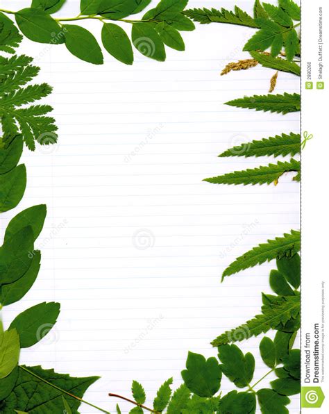 Nature Border Design Clipart 20 Free Cliparts Download Images On