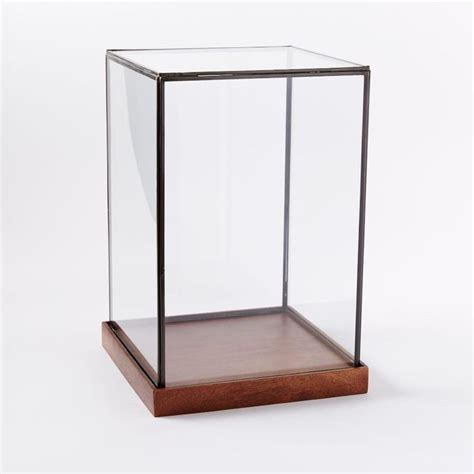 Modern Furniture Home Decor And Home Accessories West Elm Wood Glass Glass Display Box