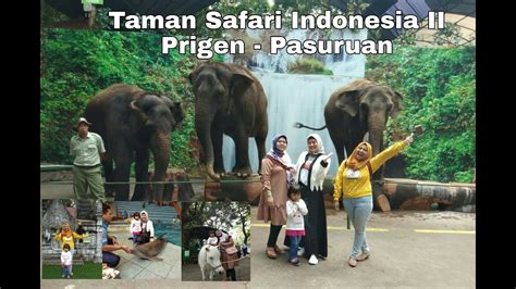 Taman Safari Indonesia Ii Prigen Pasuruan Jawa Timur Youtube
