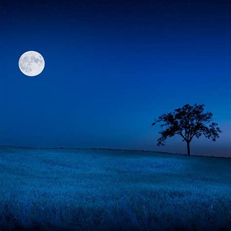Venerdì 18 giugno 2021 5:54 bilancia. Luna Piena nelle Crete Senesi - 5 Giugno 2020 - Kilometro ...