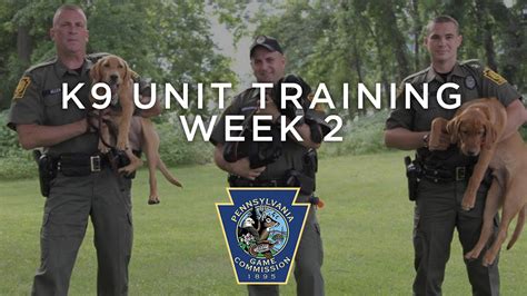 K9 Unit Training Week 2 Youtube
