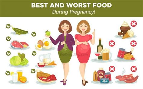 List Of Foods To Eat And Avoid During Pregnancy Wellnesszing