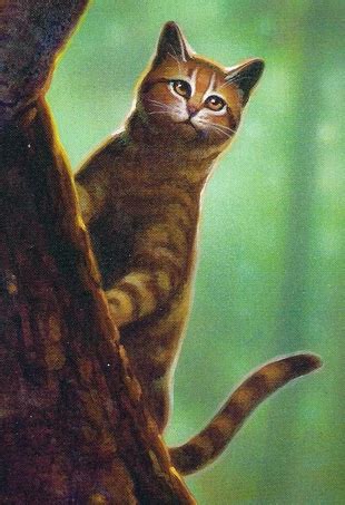 Alle aktuellen infos könnt ihr immer bei uns im warrior cats wiki nachlesen: Loofster | Nederlandse Warrior Cats wiki | FANDOM powered ...