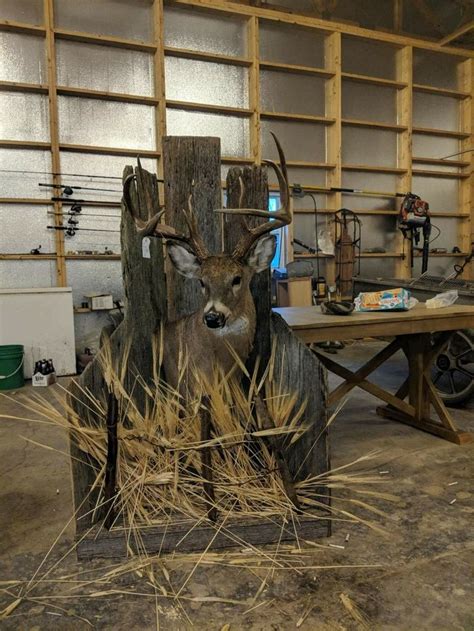 Pin By Dustin Burke On Potential Mounts Deer Hunting Decor Hunting