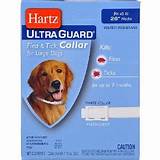 Pictures of Hartz Ultraguard Plus For Cats Side Effects