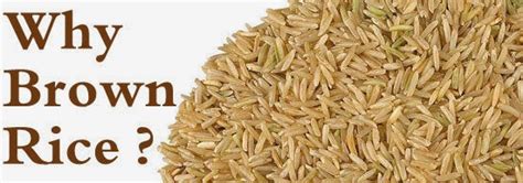 The brown rice is beneficial for the smooth functioning of the brain and nervous system. weight loss for a healthy lifestyle: BENEFITS OF BROWN RICE