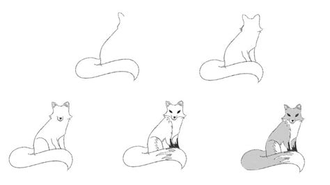 How To Draw A Fox Step By Step With Pictures Jae Johns