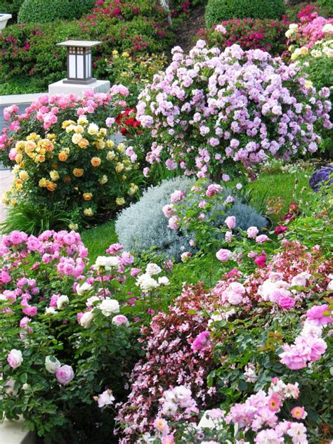 Cottage Garden Designs We Love Hgtv