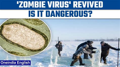 Scientists Revive 48500 Year Old ‘zombie Virus Buried In Ice