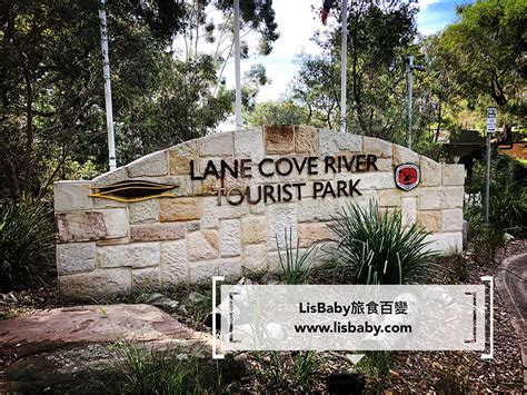Lane Cove River Tourist Park⛺️悉尼露營初體驗首選🏕️lisbaby旅食百變 Lisbaby