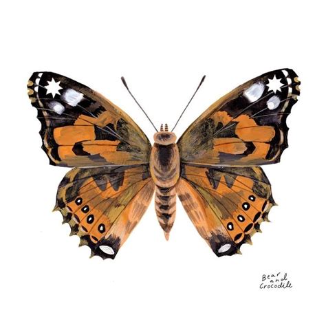 Painted Lady Butterfly Autumn Fine Art Painting Print Decor Wall Art