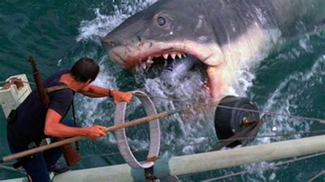 No, at least not according to jaws author peter benchley, though he was certainly aware of the 1916 attacks (they are mentioned in his novel). Jaws (1975) Ending Scene Explained/Explanation - YouTube