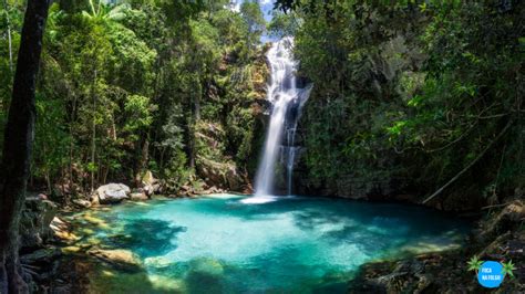 Conheça 30 Das Mais Belas Cachoeiras Do Brasil