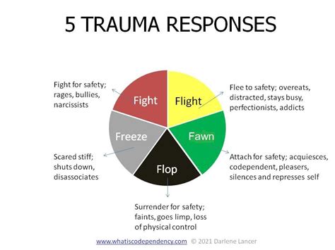 How Trauma Reactions Can Hi Jack Your Life