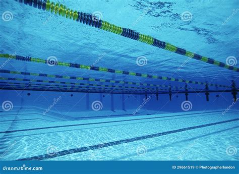 Lanes In Swimming Pool Stock Image Image Of Pole Lane 29661519