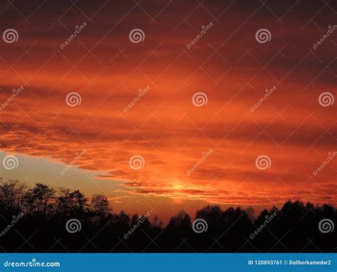 An Orange Sunset Above The Forest Stock Image Image Of Pattern