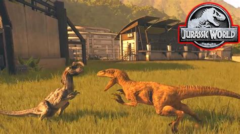 Velociraptor Vs Dilophosaurus Jurassic World Evolution 9 Youtube
