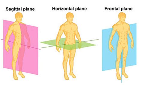 Moving In All Planes Of Motion Sagittal Frontal And Transverse