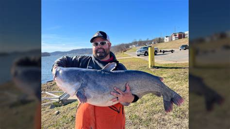 Record Breaking Blue Catfish Caught In West Virginia