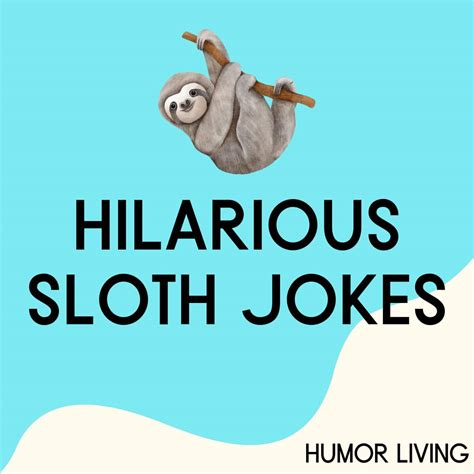 40 Hilarious Sloth Jokes To Make You Laugh Humor Living