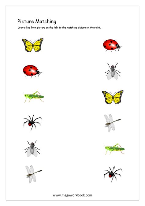 Print these four free matching activities for toddlers! Preschool Worksheet Gallery: Matching Worksheet For Preschool