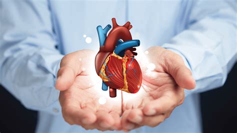 Problemas no coração sinais e sintomas que podem indicar doença cardíaca e aos quais você