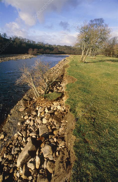 Erosion Of A Riverbank Stock Image E4600071 Science Photo Library