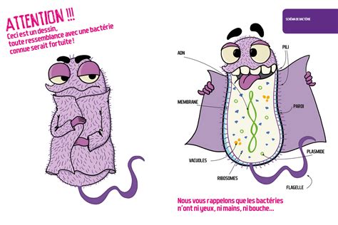 Les Microbes Expliqués Aux Enfants Rtsch Les Microbes