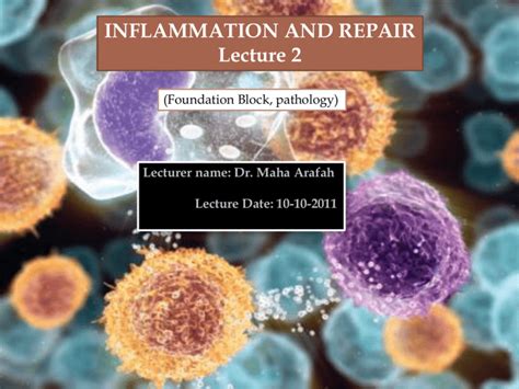 Inflammation And Repair