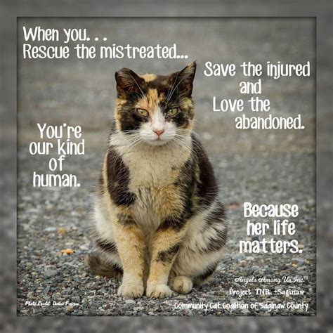 His Or Her Life Matter Cat Quotes Feral Cats Foster Animals