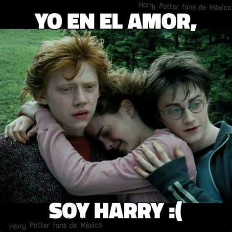 memes harry potter español amino