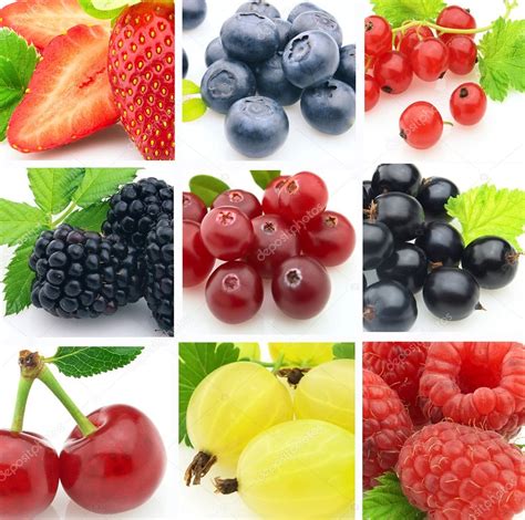 Fresh Berries — Stock Photo © Dionisvera 4714264
