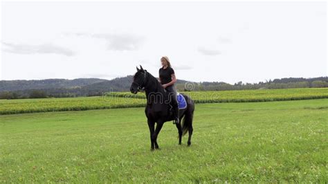 Beautiful Blonde Girl Riding A Horse Stock Footage Video Of Mammal
