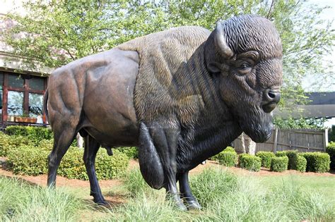 Large Bronze Casting Artwork Bison Statue For Garden Aongking Sculpture