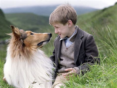 Cine Lassie Un Perro Para Salvar Las Cuentas De Dreamworks
