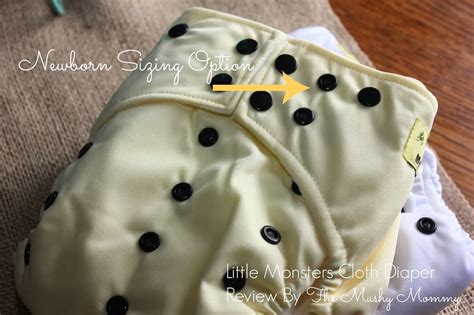 Little Monsters Cloth Diaper Review Giveaway Too — The Mushy Moms Fiat