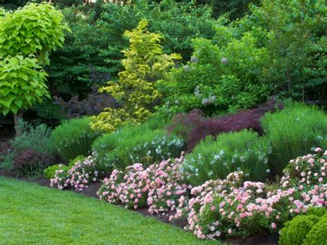 Types Of Trees And Shrubs Hgtv